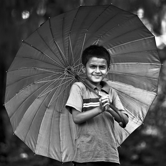umbrella